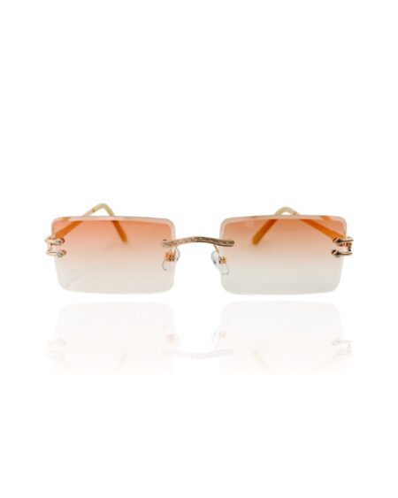 DARYA x limited - orange